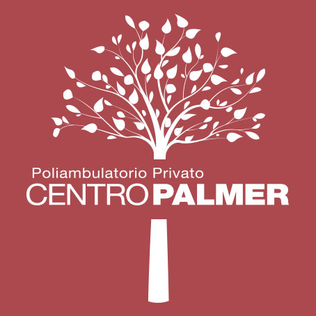 Favicon Centro Palmer
